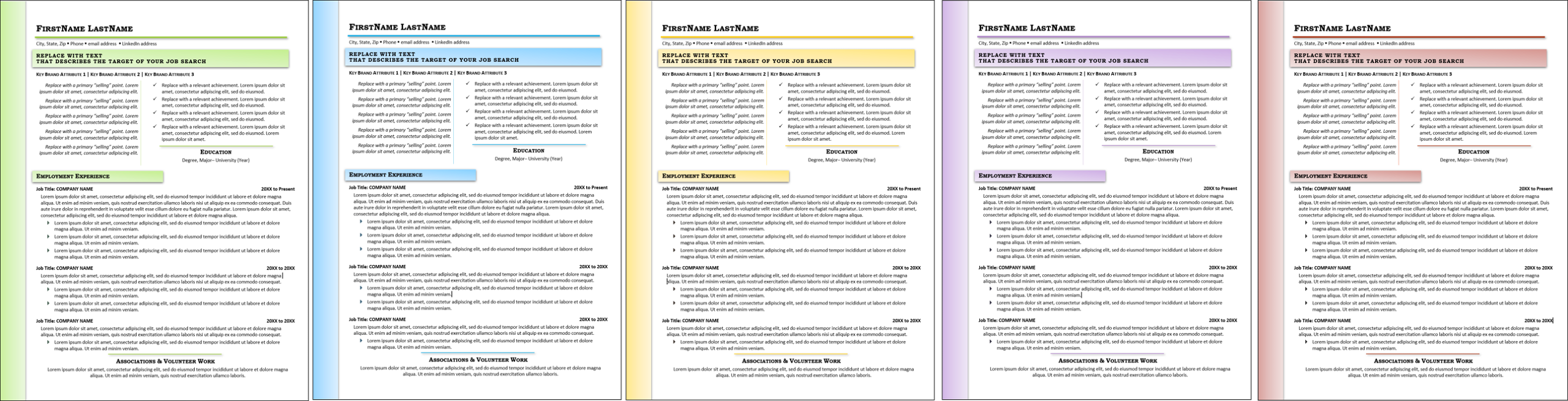 Ambient Entry Multi-Use Resume Template Color Choices