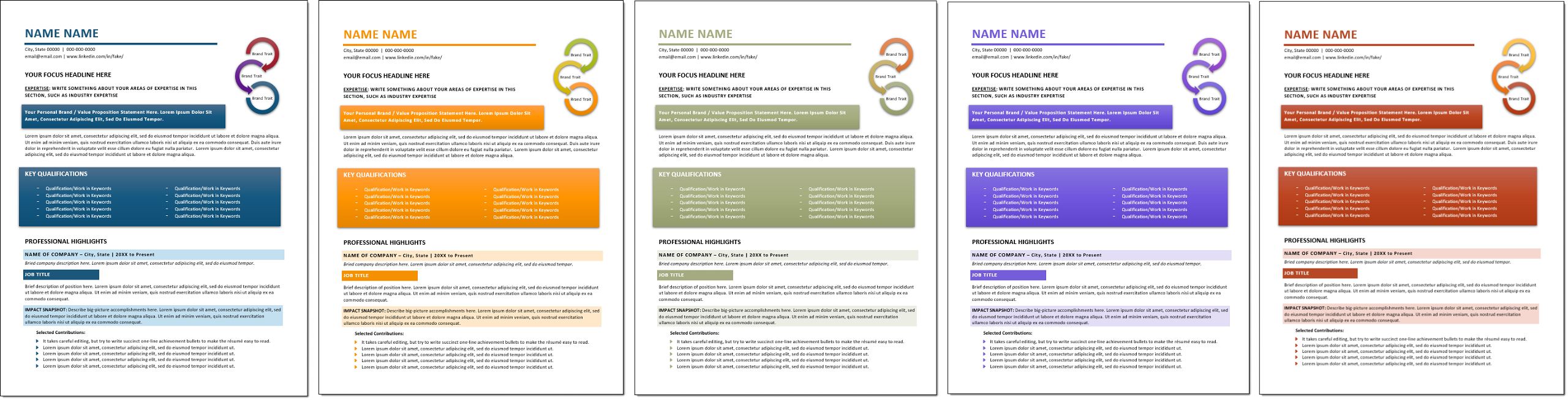 Sophisticated Resume Templates Change Colors
