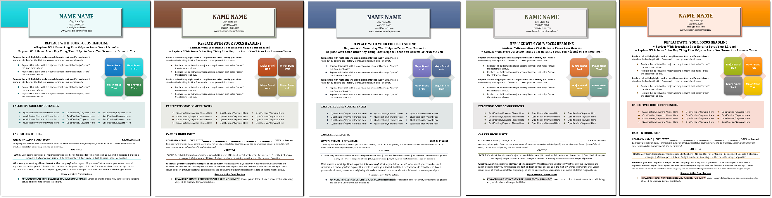 Executive Resume Template Color Choices
