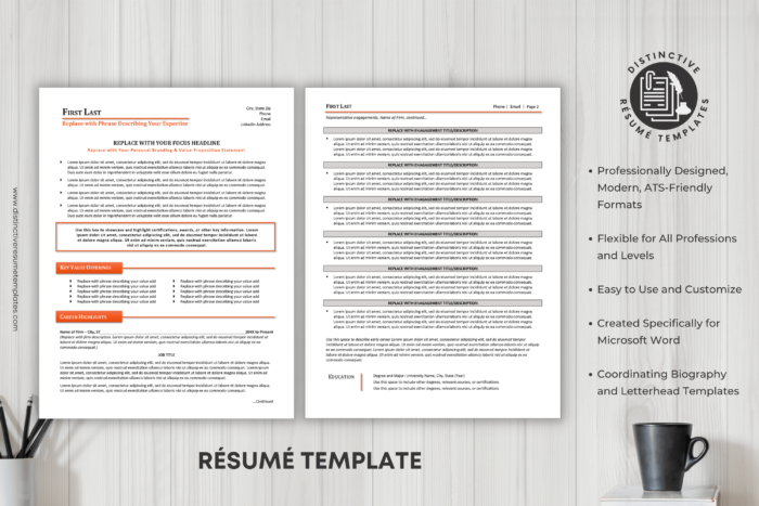 consultant resume template 2