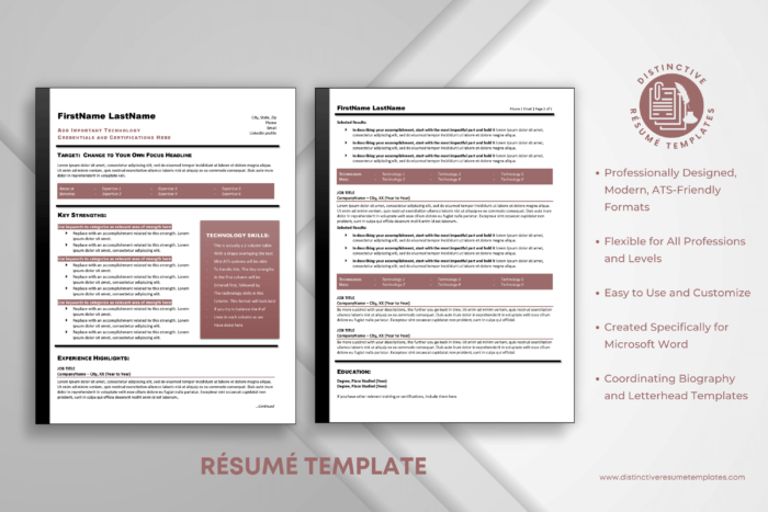 technical resume template 2