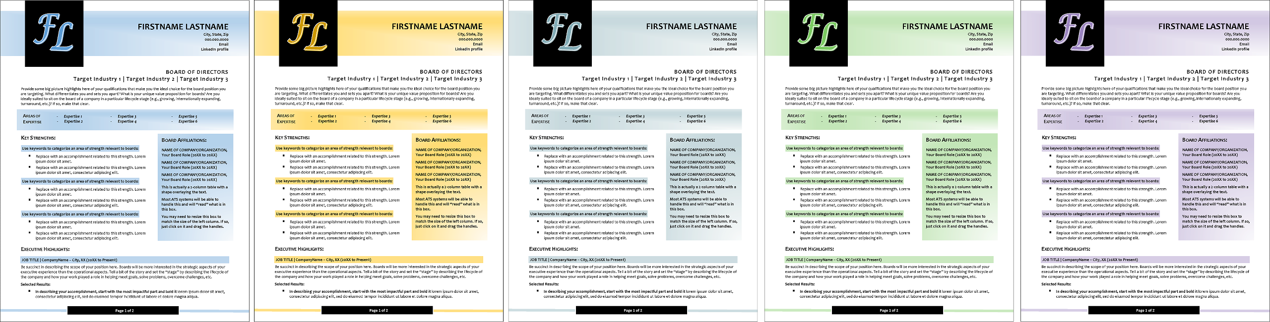 board director resume templates color options