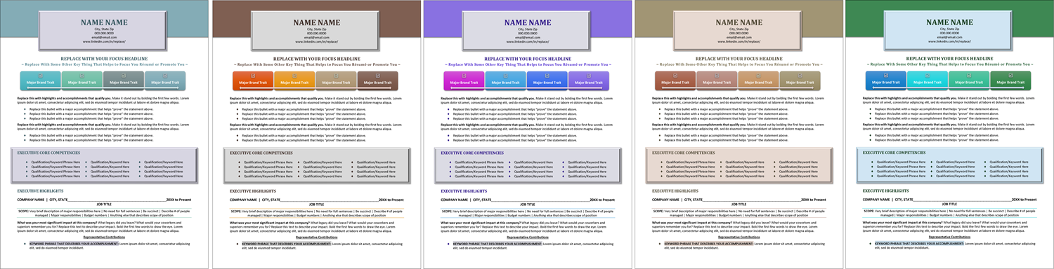 C Suite Executive Resume Template Color Options